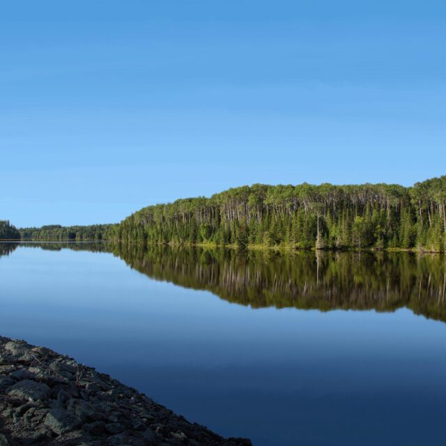 Looking out across a crystal clear lake reflecting the far tree-covered shore like a mirror.