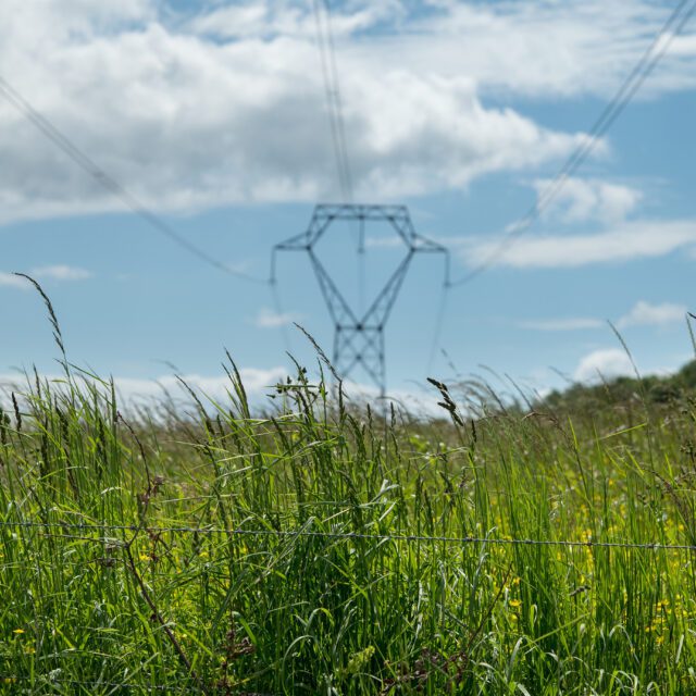An out-of-focus electricity transmission tower against partly cloudy sky is half-hidden behind in focus blades of green grass in focus.
