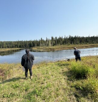 The plant identification and seed collection techniques will help restore the land to its natural state at OPG’s Little Long Dam Safety Project and Smoky Falls Dam Safety Project.