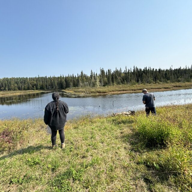 The plant identification and seed collection techniques will help restore the land to its natural state at OPG’s Little Long Dam Safety Project and Smoky Falls Dam Safety Project.