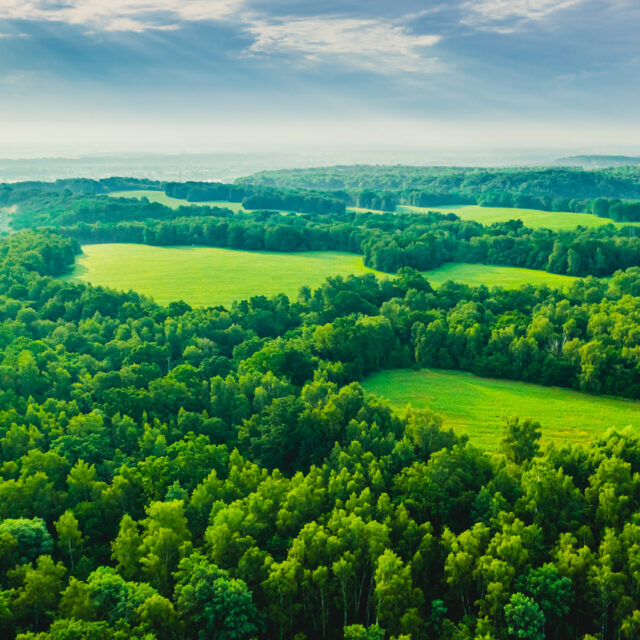 Drone photography. Ecosystem. Biodiversity